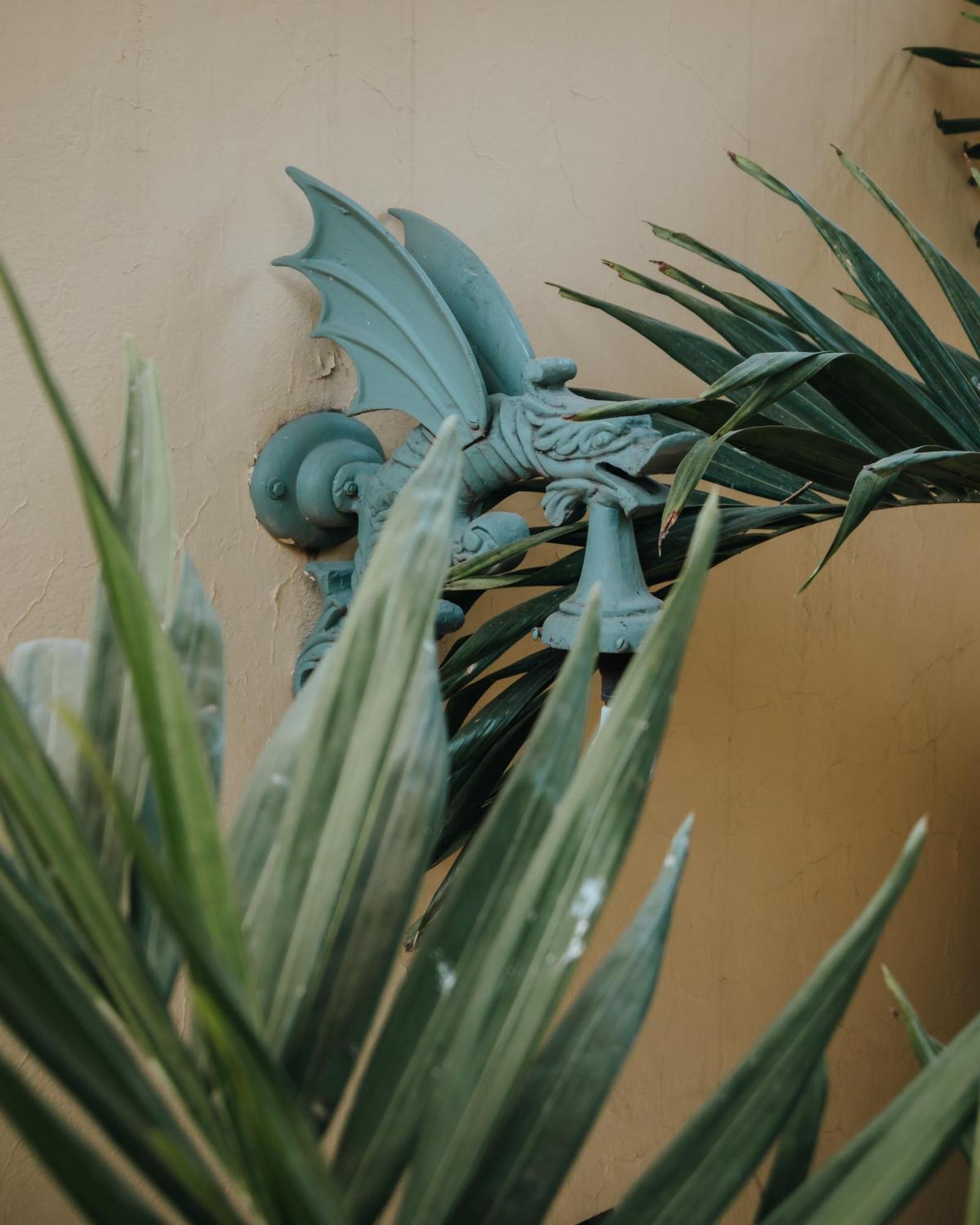 Casa Florida Bed and Breakfast San Miguel de Allende Buitenkant foto
